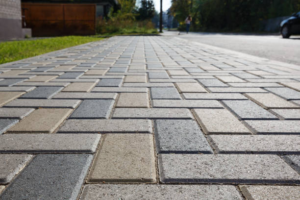 Best Driveway Repair Near Me  in Darlington, WI