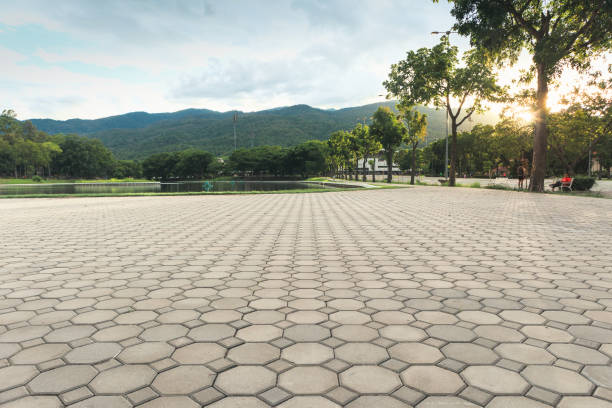 Best Concrete Paver Driveway  in Darlington, WI
