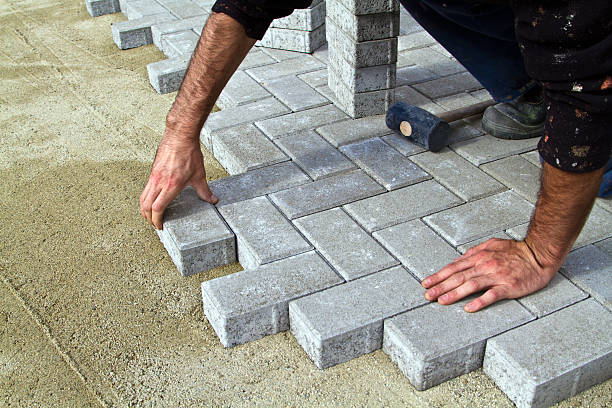 Best Local Driveway Pavers  in Darlington, WI