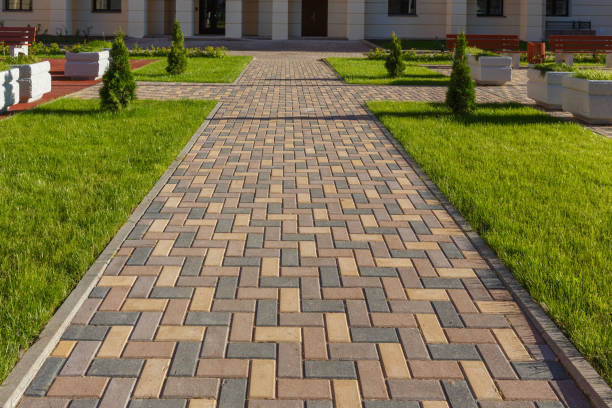 Best Driveway Repair Near Me  in Darlington, WI